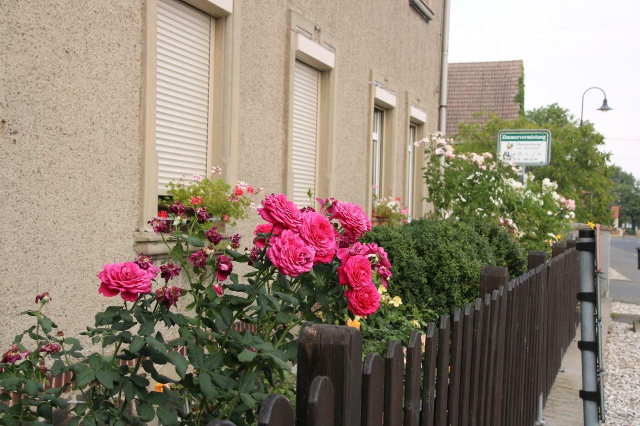 Zum Alten Koenig Cavertitz Exterior photo